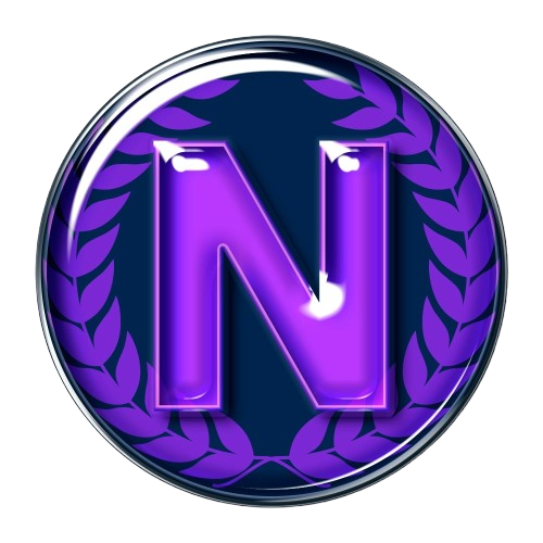 Napolyon'un Strateji ve Liderlik Mirası